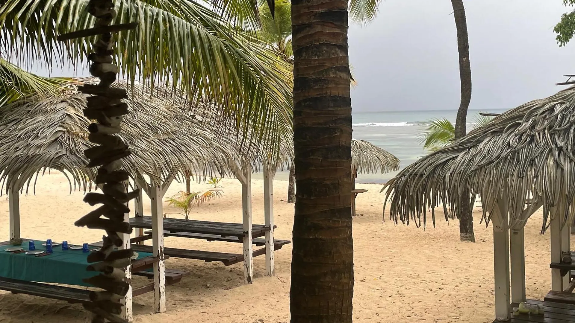 Studio Anse des Rochers Saint François Appartement Saint-Francois (Grande-Terre)